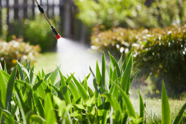 24/7 Emergency Mosquito Control experts in Ore City, TX