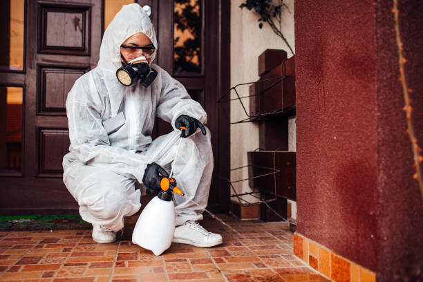 Reliable Mosquito Control contractor in Ore City, TX by Show Me Pest Control